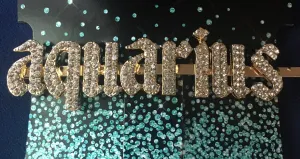 Aquarius Rhinestone Statement Words Hairpin Hair Clip