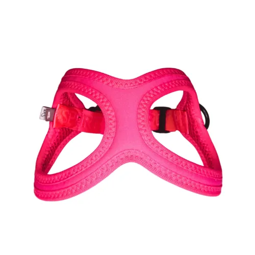 Buddy Belt Sport — Flamingo