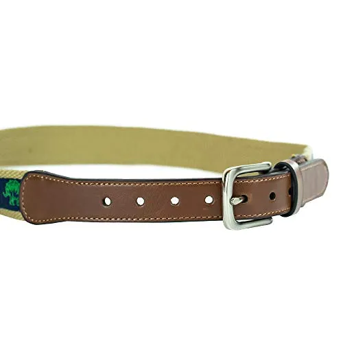 Dinosaur Novelty Fabric Belt (S)