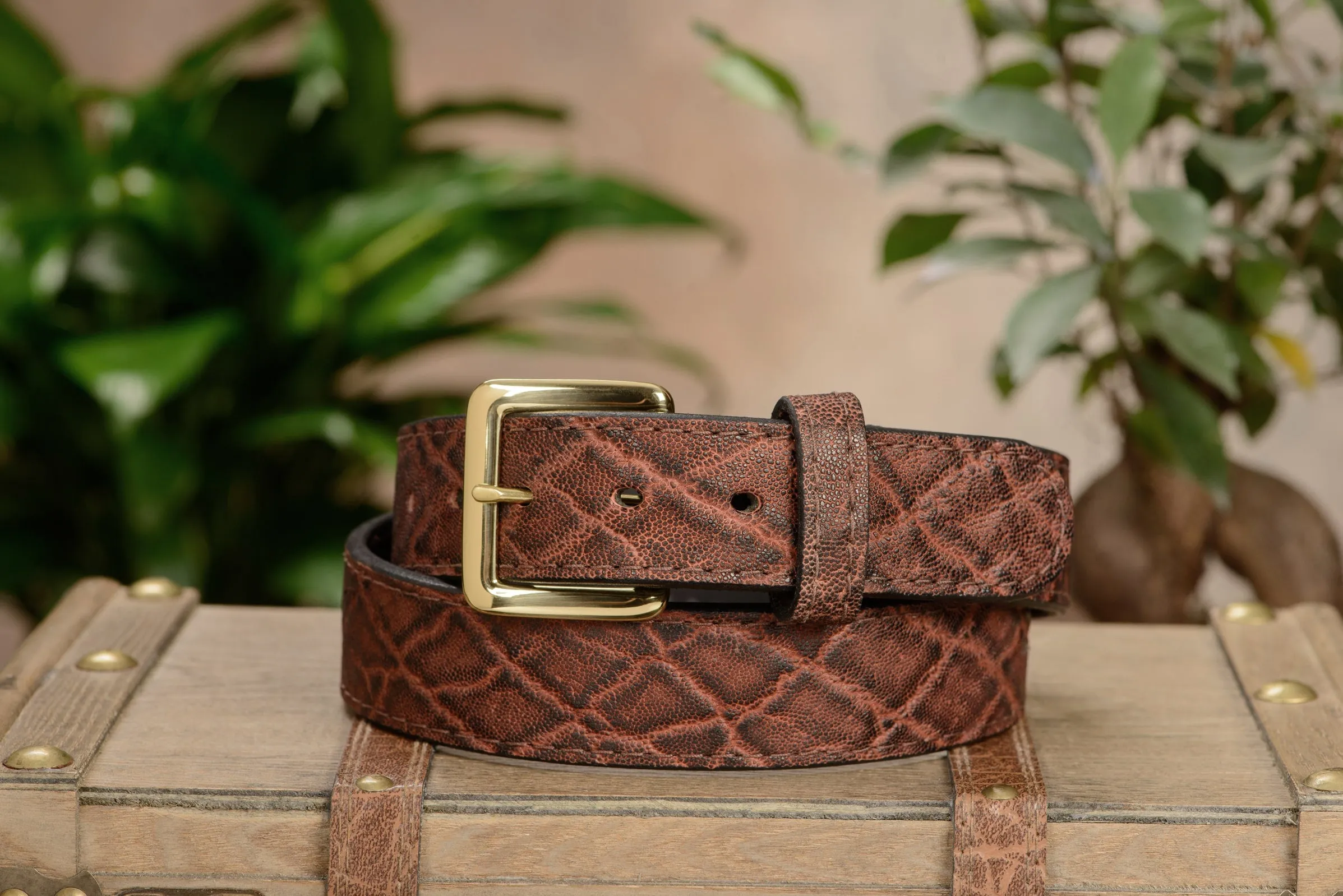 Dragon Fire Elephant Money Belt With 25" Zipper