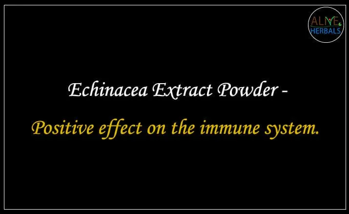 Echinacea Extract Powder