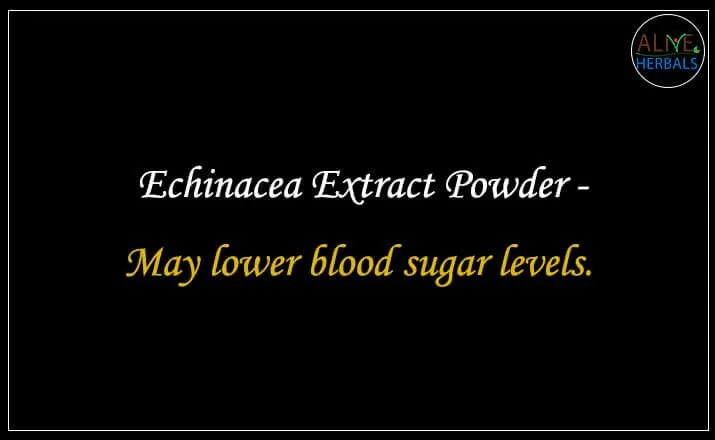 Echinacea Extract Powder