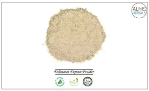Echinacea Extract Powder
