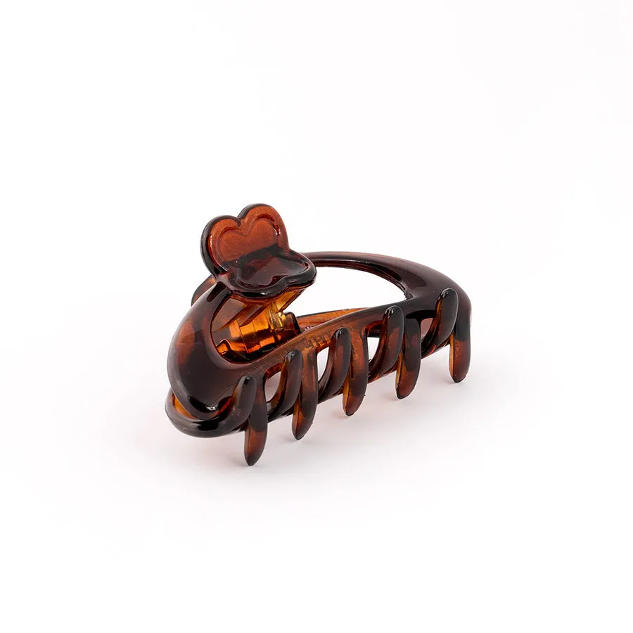 French Small Hair Claw Tortoise