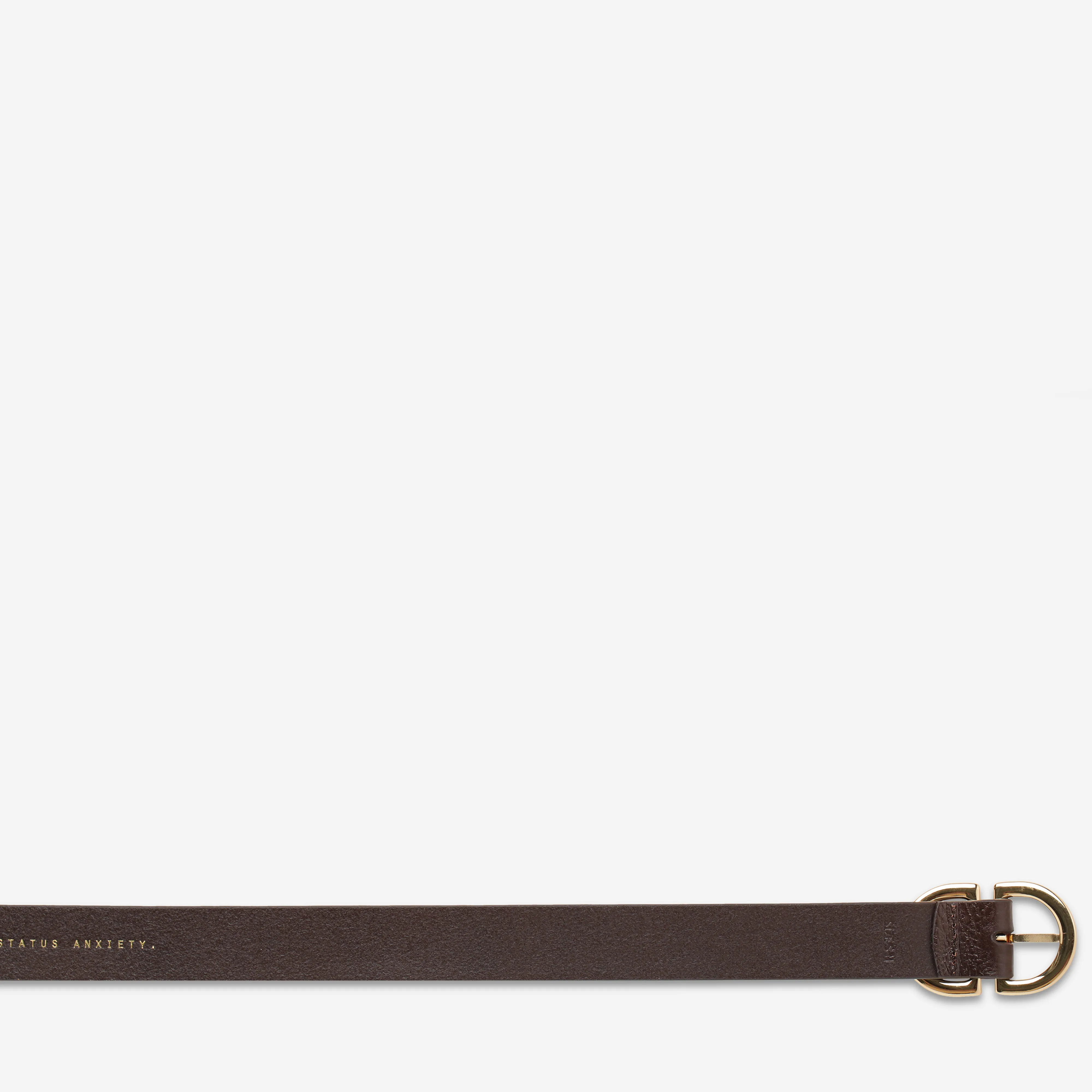 In Reverse Belt - Choc/Gold