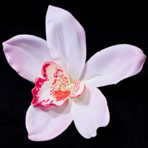 Large Colored Orchid Flower on Forked Metal Clip