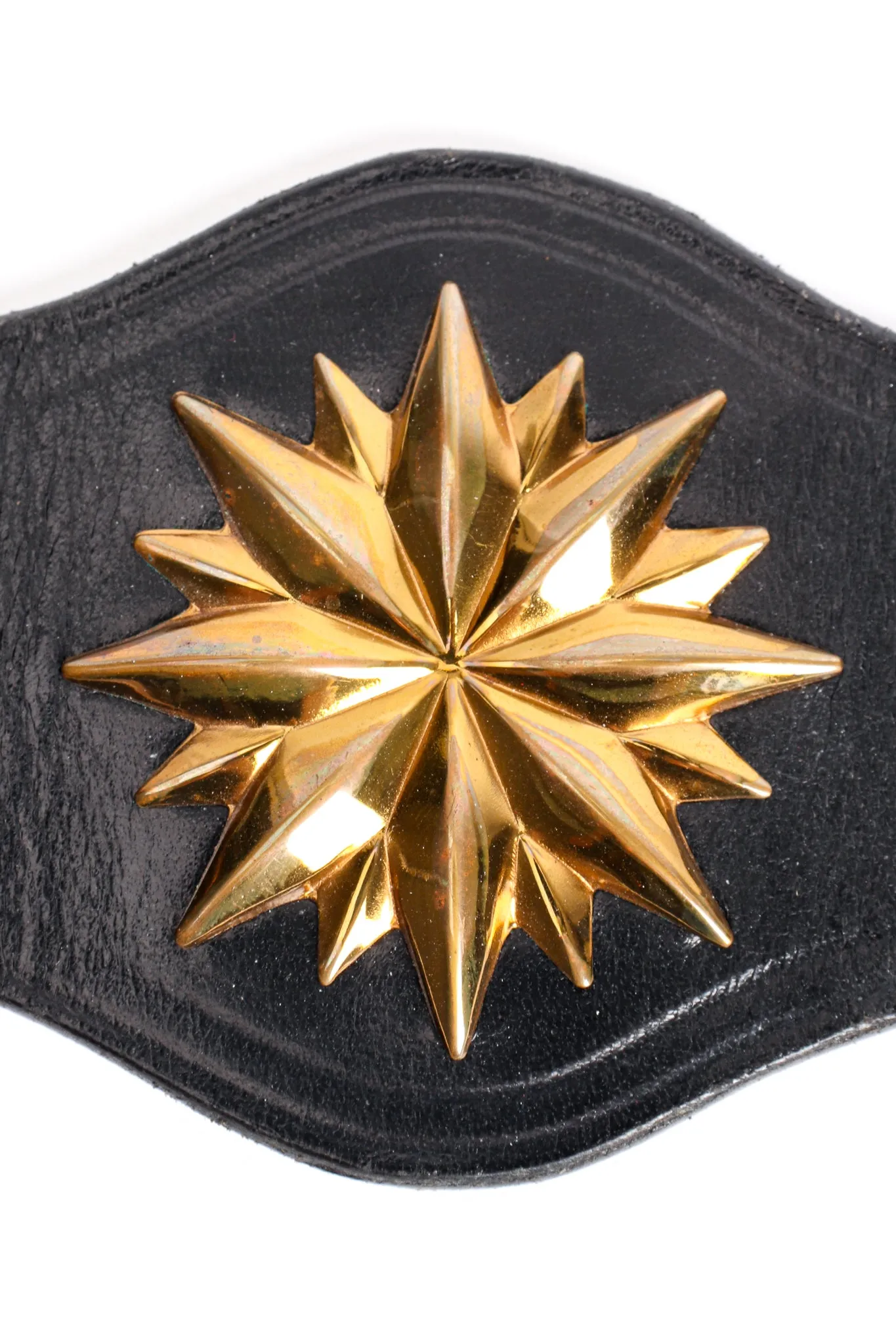 Leather Brass Bug Belt