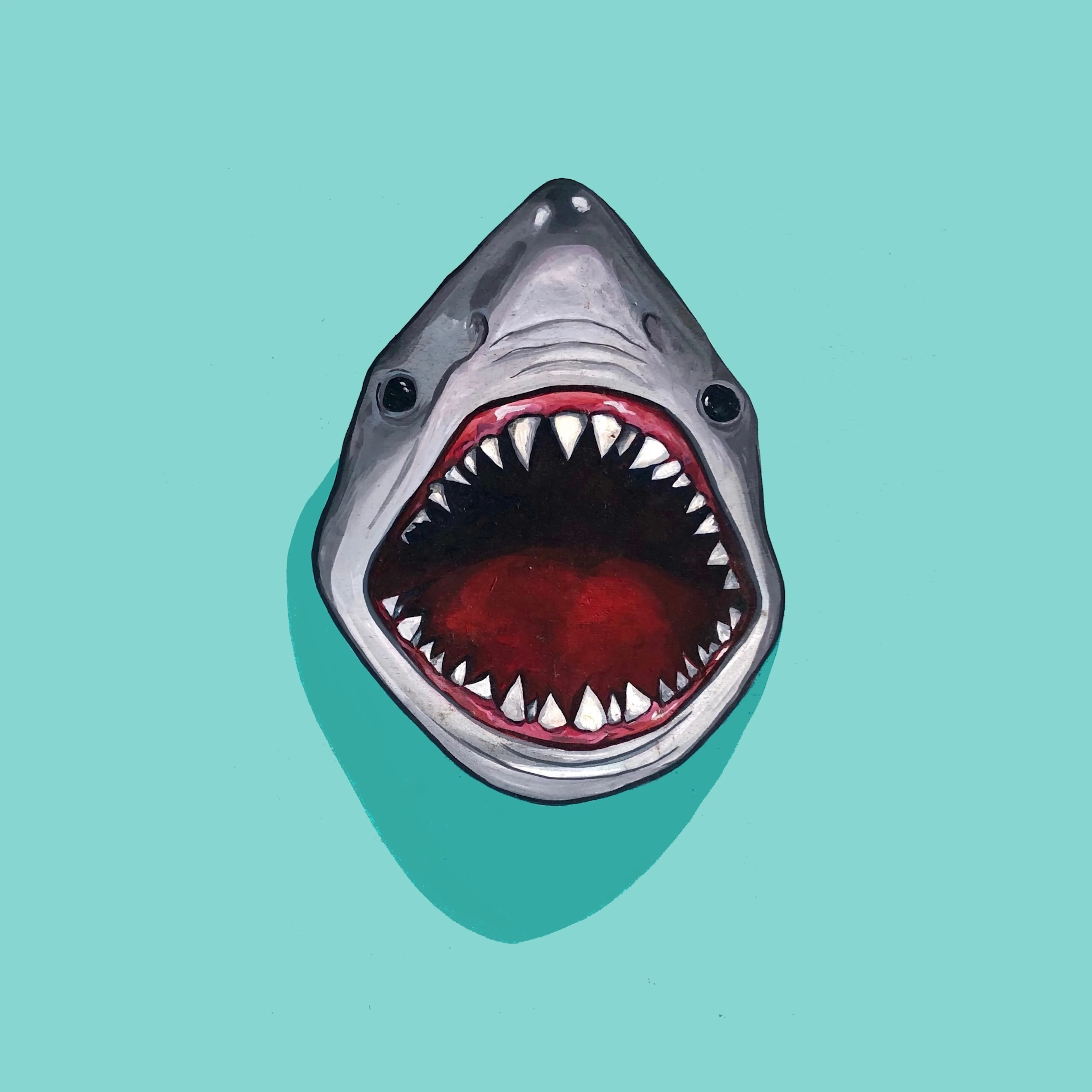 Sharky Crop Top
