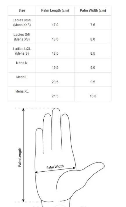 Steiner Adult Silk 140 Glove Liner