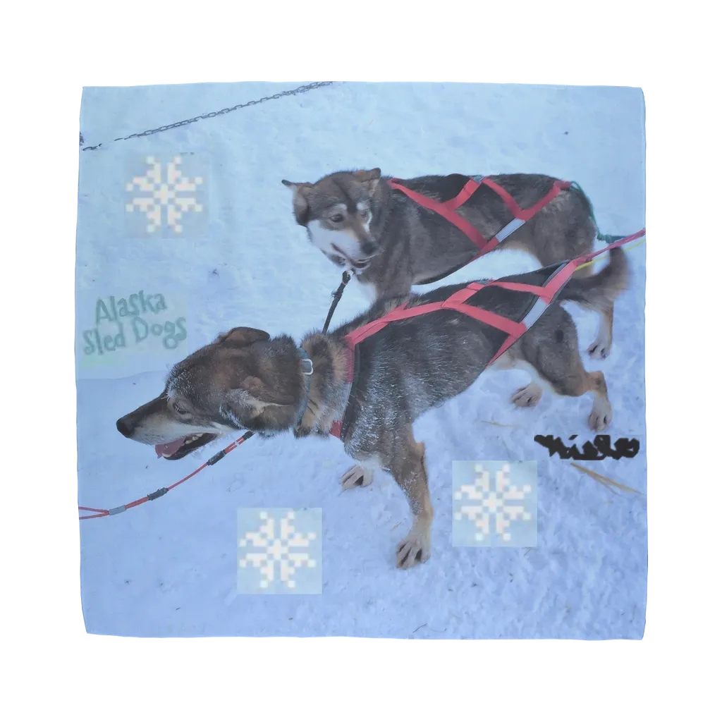 Sublimation Bandana - Alaska Sled Dogs Collection