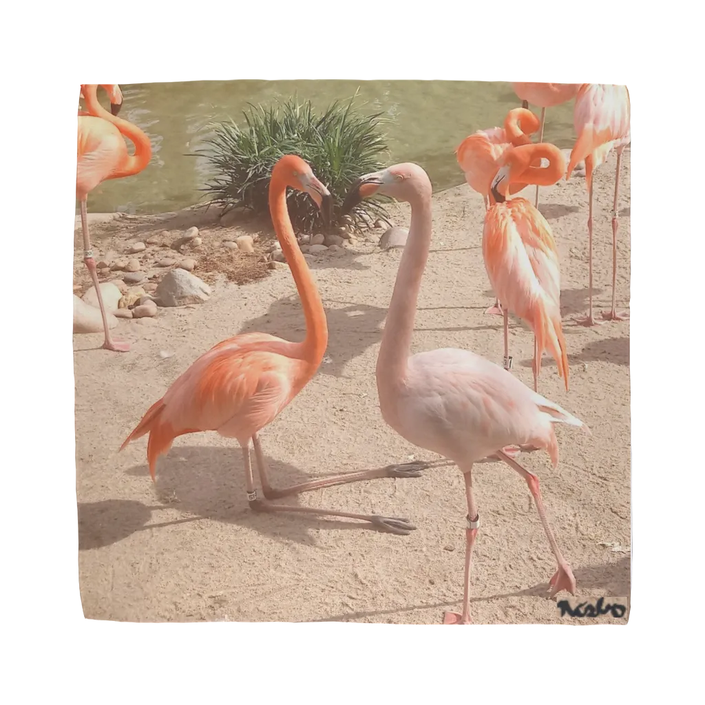 Sublimation Bandana - Flamingo Friends Collection