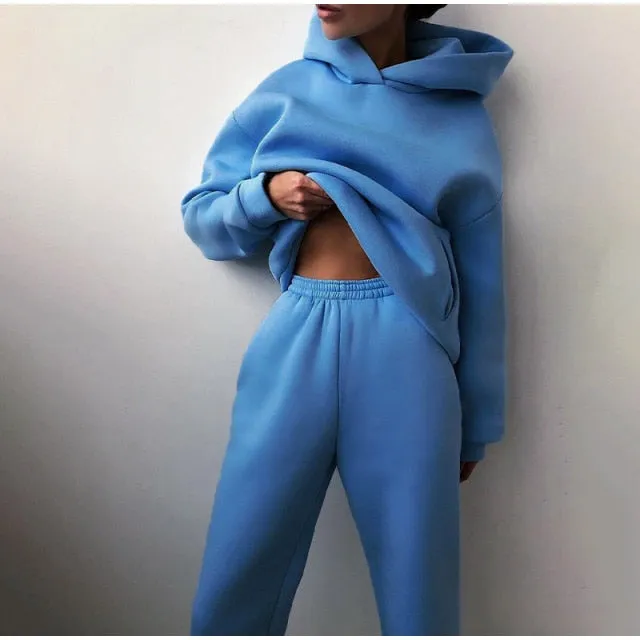 Women's Tracksuit Casual Solid Long Sleeve Hooded Sport Suits